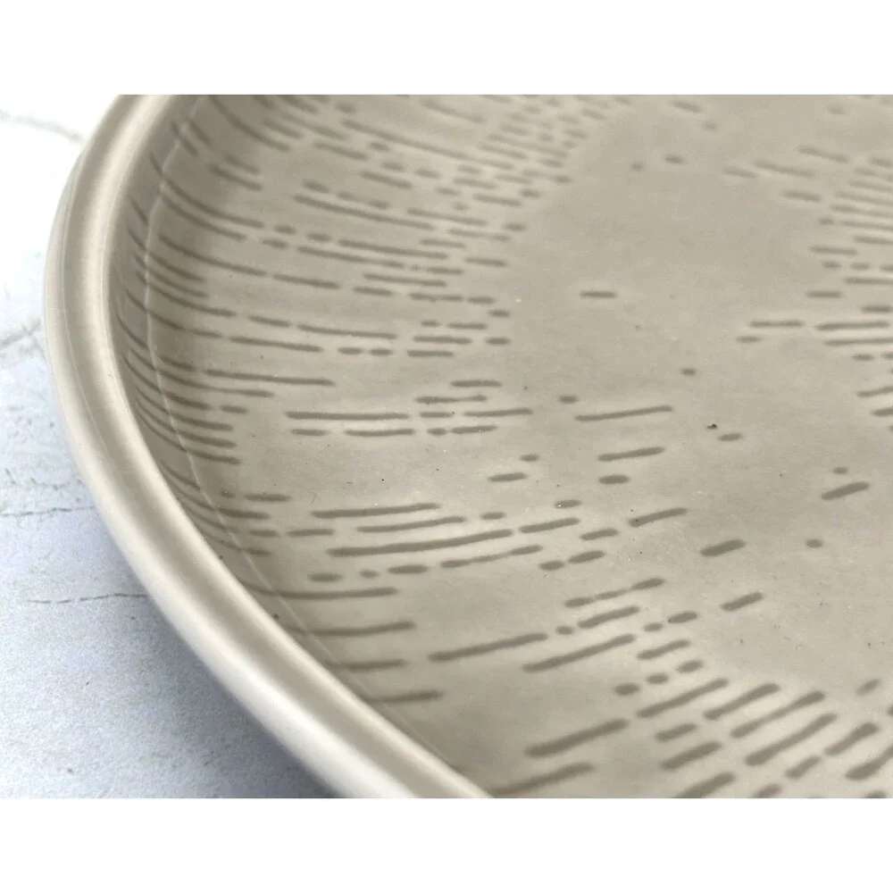 Schönwald Germany 620 Porcelain Plate Set of 4 Radial Pattern Gray‎ Frost Shiro